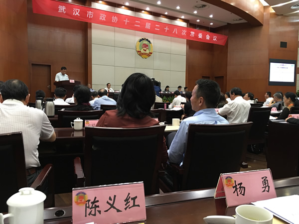 陳義紅在武漢市政協(xié)常委會(huì)議上發(fā)言