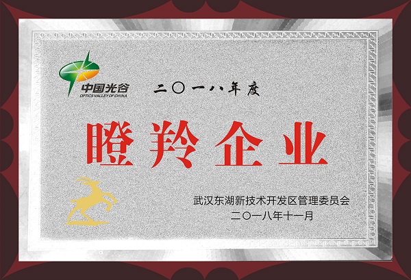 鴻鐳激光獲評2018年度瞪羚企業(yè)
